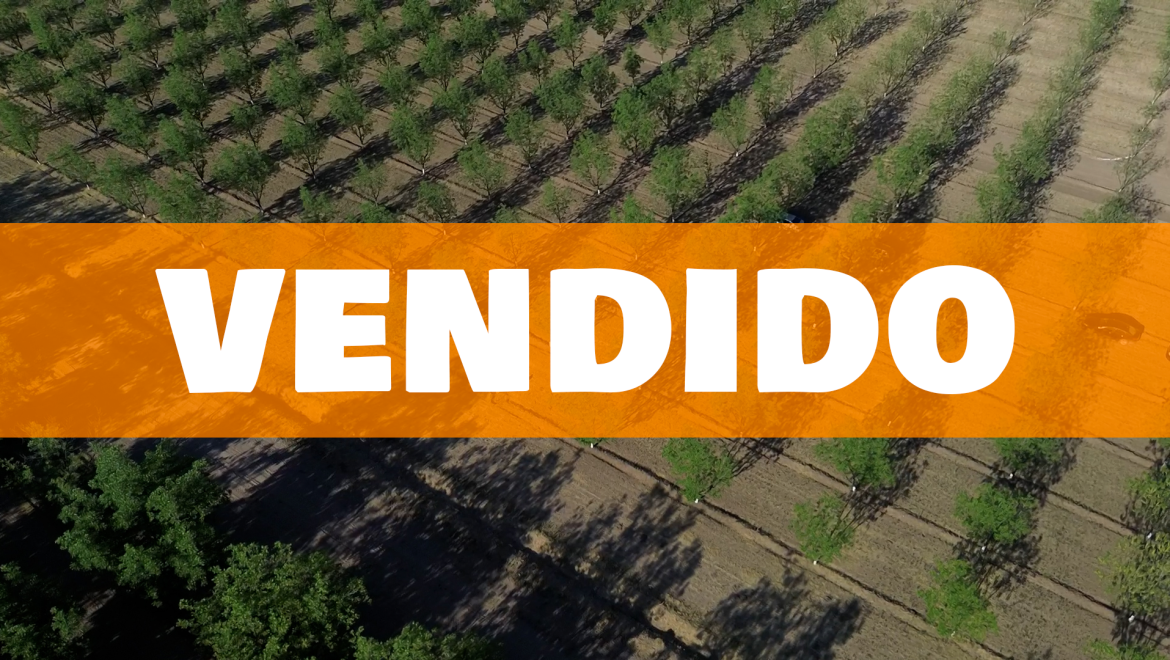 imagen del video