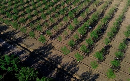 San Agustín Country